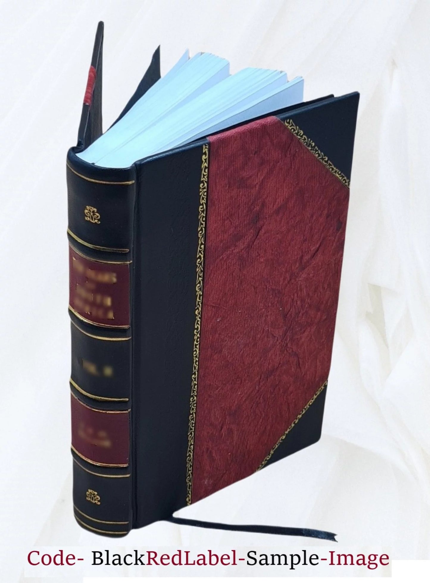 [Omnia quae extant juxta Benedictinorum versionem] Volume 20 1835 [Leather Bound]