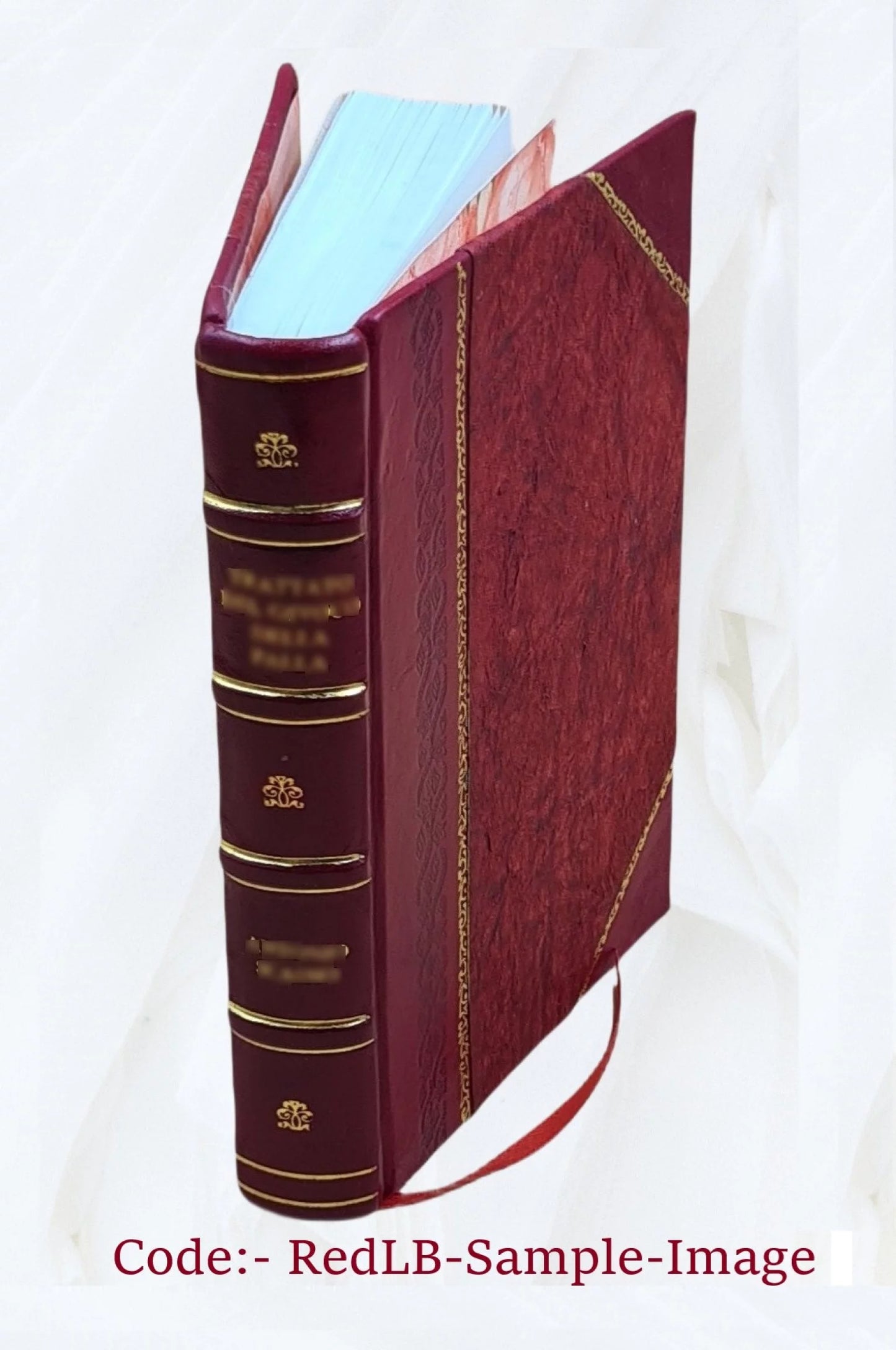 [Omnia quae extant juxta Benedictinorum versionem] Volume 20 1835 [Leather Bound]